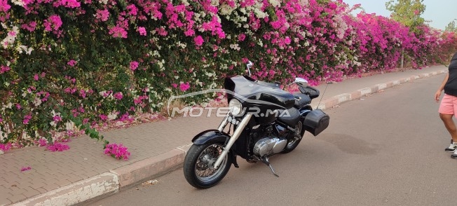 SUZUKI Volusia 800 limited occasion  1683362