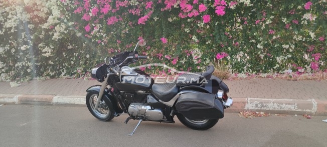 SUZUKI Volusia 800 limited occasion  1683361