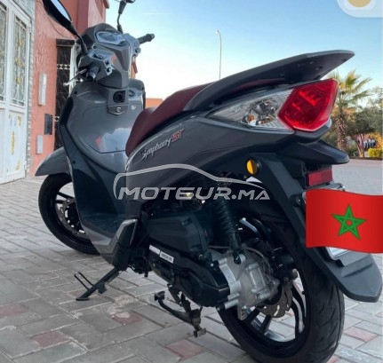 Moto au Maroc SYM 50 st 2024 - 484548