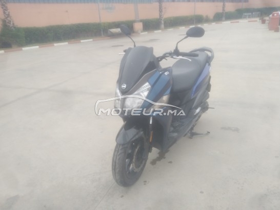 SYM Jet 14 occasion  1562252