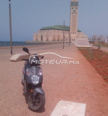 SYM Orbit ii 50 occasion  1274027