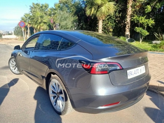 تيسلا اوتري مستعملة 3415491