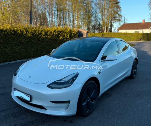 TESLA Model 3 Standard range rwd occasion 2268268