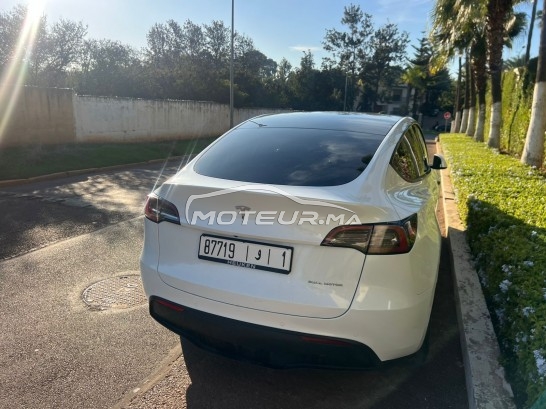 تيسلا موديل ي Dual مستعملة 2891358