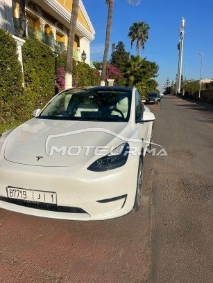 TESLA Model y Dual occasion