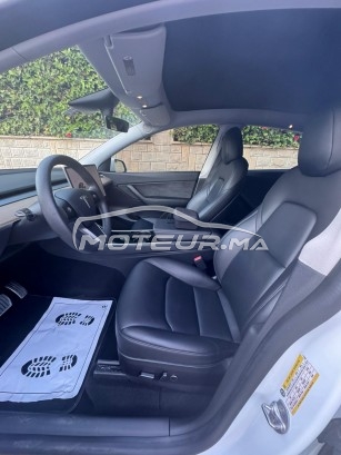 تيسلا موديل ي مستعملة 2435611