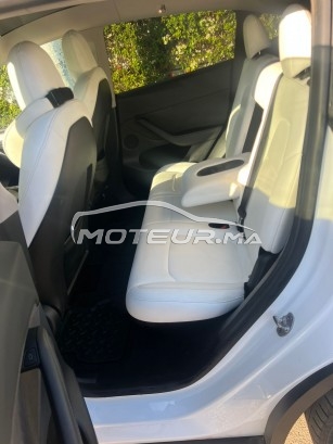 تيسلا موديل ي Dual مستعملة 2891359