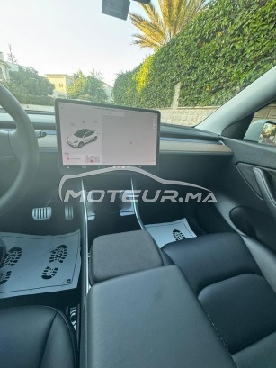 تيسلا موديل ي مستعملة 2435606