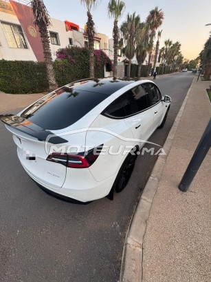 تيسلا موديل ي مستعملة 2435613