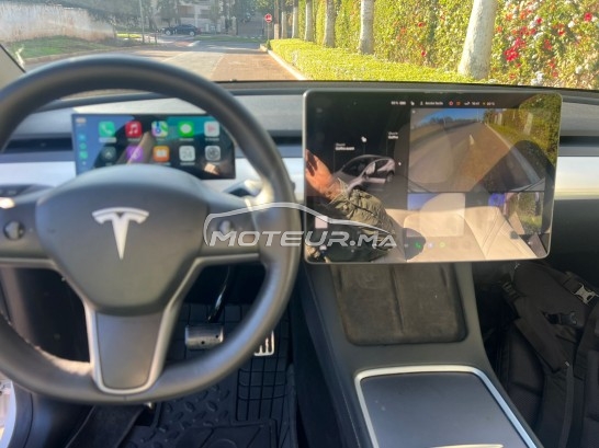 تيسلا موديل ي Dual مستعملة 2891360