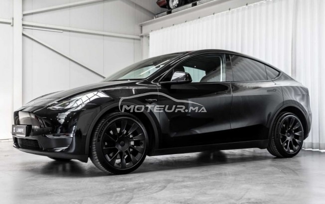 تيسلا موديل ي Dual motor grande autonomie مستعملة 2363388