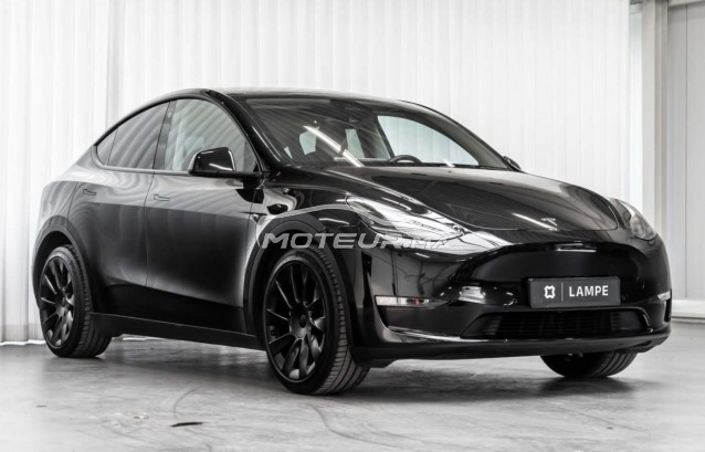 تيسلا موديل ي Dual motor grande autonomie مستعملة 2363389