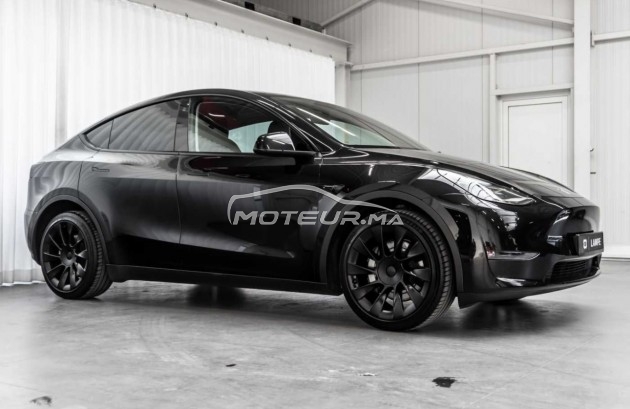 تيسلا موديل ي Dual motor grande autonomie مستعملة 2363390