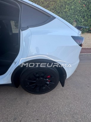 تيسلا موديل ي مستعملة 2435609