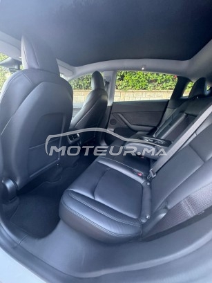 تيسلا موديل ي مستعملة 2435607