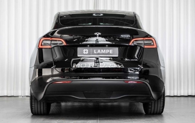 تيسلا موديل ي Dual motor grande autonomie مستعملة 2363391