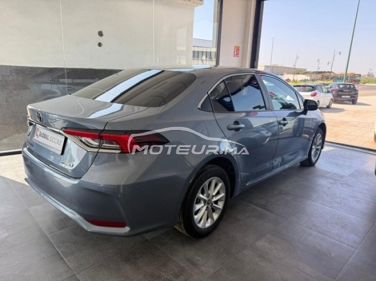 TOYOTA Corolla occasion 3402428