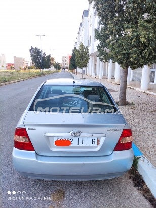TOYOTA Corolla occasion 1409852