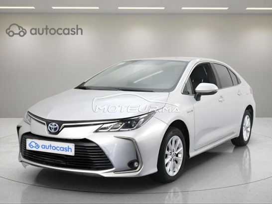 TOYOTA Corolla occasion