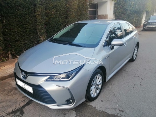 TOYOTA Corolla occasion 1551353