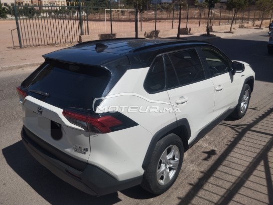 تويوتا راف-4 مستعملة 2577324