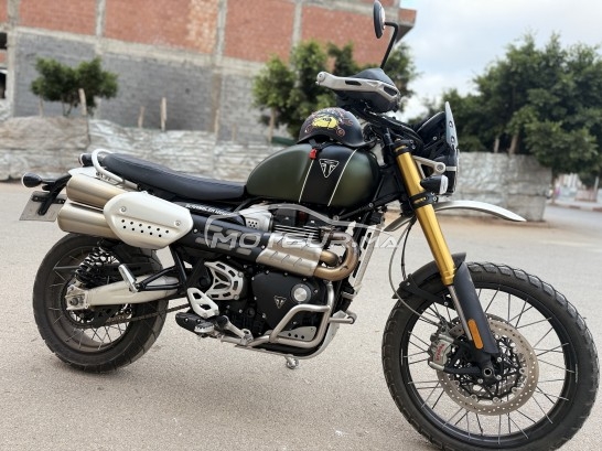 تريومف سكرامبلير Scamnier مستعملة 2461630