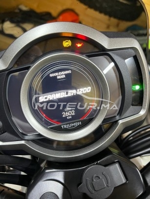 تريومف سكرامبلير Scamnier مستعملة 2461632