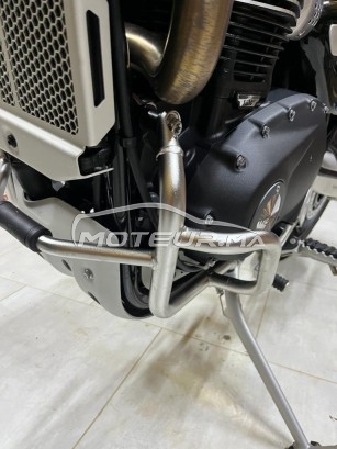 تريومف سكرامبلير Scamnier مستعملة 2461639