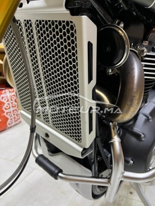 تريومف سكرامبلير Scamnier مستعملة 2461641