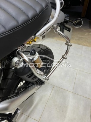 تريومف سكرامبلير Scamnier مستعملة 2461638