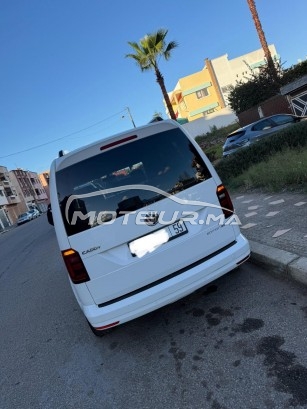 فولكزفاكن كاددي Édition 35 مستعملة 2004826