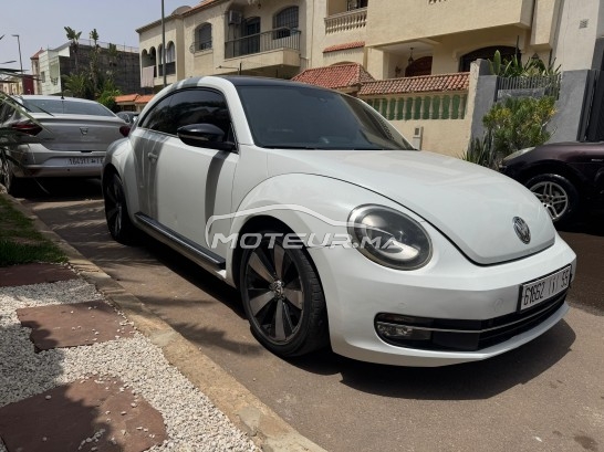 VOLKSWAGEN Coccinelle Tdi occasion 2426502