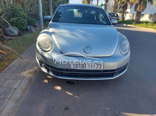 VOLKSWAGEN Coccinelle Tdi occasion 1636239
