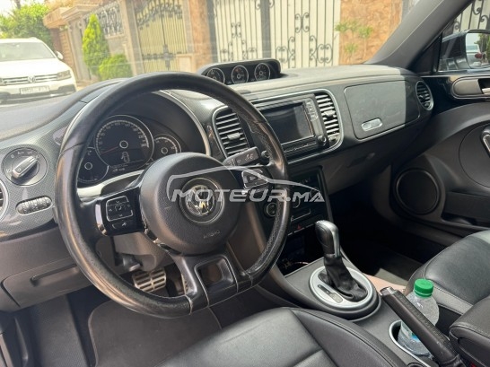 VOLKSWAGEN Coccinelle Tdi occasion 2426505