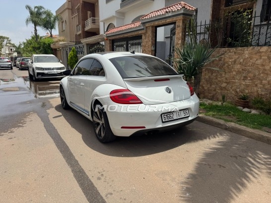 VOLKSWAGEN Coccinelle Tdi occasion 2426503