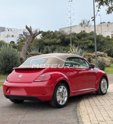 فولكزفاكن كوسسينيلي مستعملة 3128914