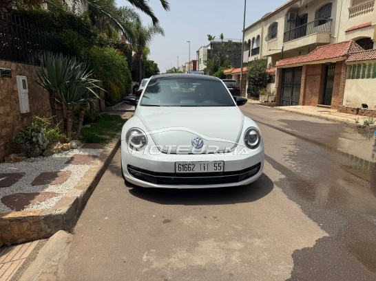 VOLKSWAGEN Coccinelle Tdi occasion 2427194