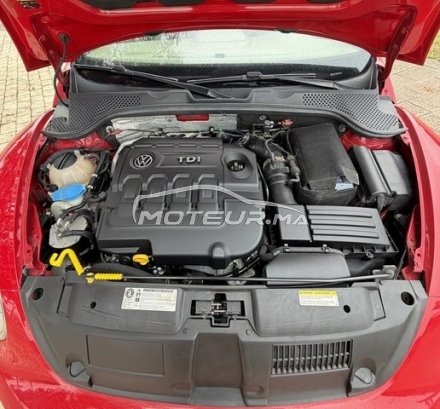 فولكزفاكن كوسسينيلي مستعملة 3128917