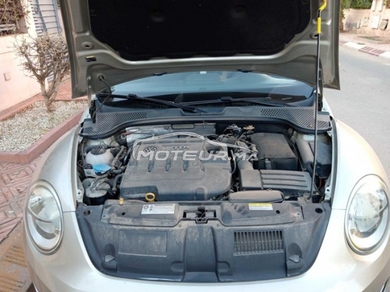 فولكزفاكن كوسسينيلي مستعملة 2974748