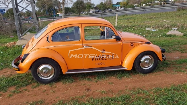 VOLKSWAGEN Coccinelle occasion 1371520