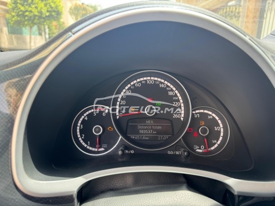 VOLKSWAGEN Coccinelle Tdi occasion 2426507