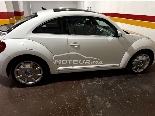 VOLKSWAGEN Coccinelle Tdi occasion 2385722