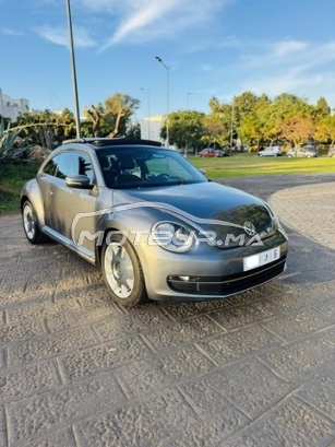 فولكزفاكن كوسسينيلي مستعملة 2997851