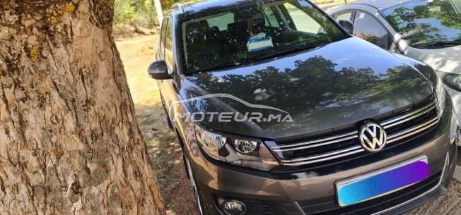 VOLKSWAGEN Tiguan occasion 1239065