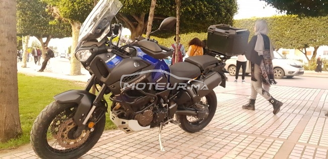 ياماها كست1200ز إسوبير تينيري مستعملة 1176605