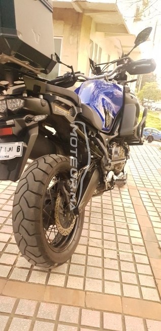 ياماها كست1200ز إسوبير تينيري مستعملة 1176602