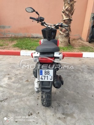 YAMAHA Stunt occasion  1107874