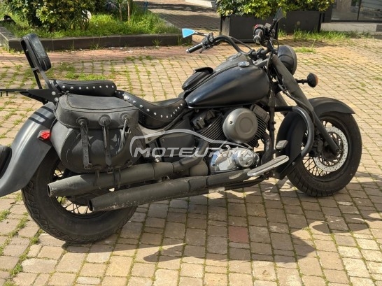 YAMAHA V star custom 650 Custome occasion  3299162