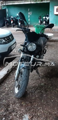 ياماها كسج 600 إس ديفيرسيون 2001 مستعملة 1751474