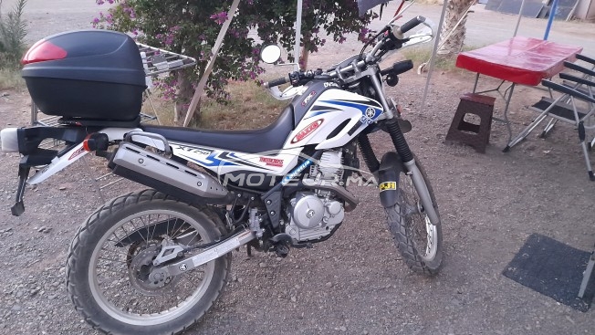 YAMAHA Xt 250 occasion  1738186